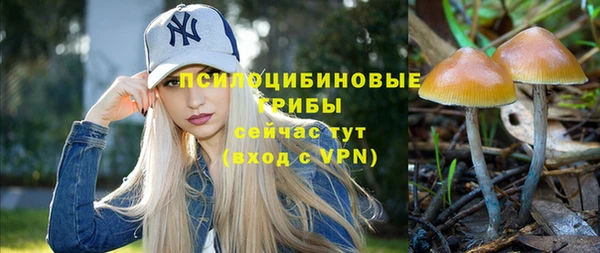 mdma Каменногорск