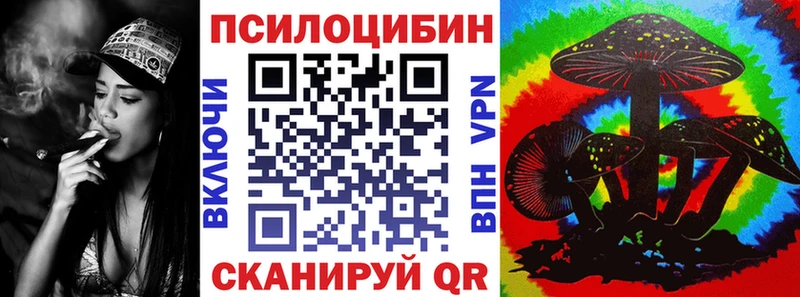 Купить где  Дзержинский  Псилоцибиновые грибы MAGIC MUSHROOMS 